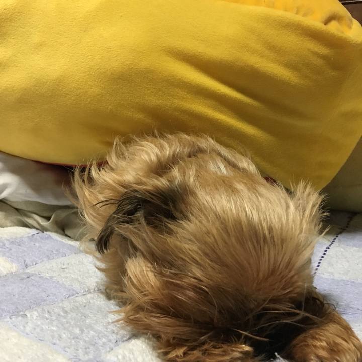 0443721b b84a 4ff7 899a 0a05aa86e79f