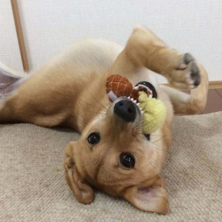 04438338 1277 46a5 9e9b 0589094a173a