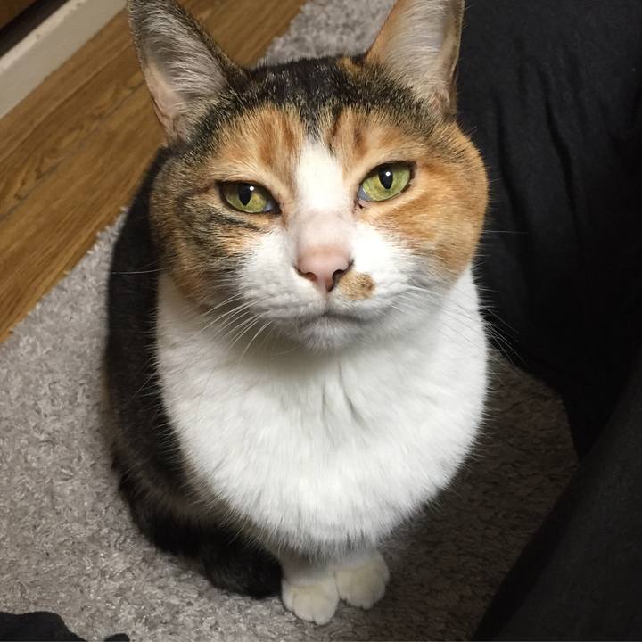 044383a2 3389 4c53 b1c6 db12b8859365