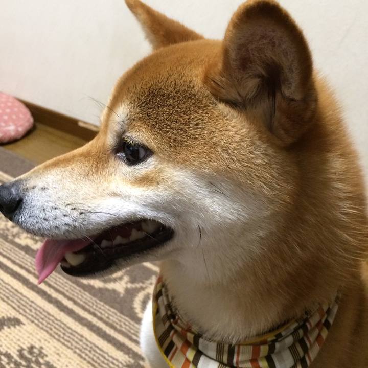 044396aa 90db 4b51 a01a bc3f2ca73f1b