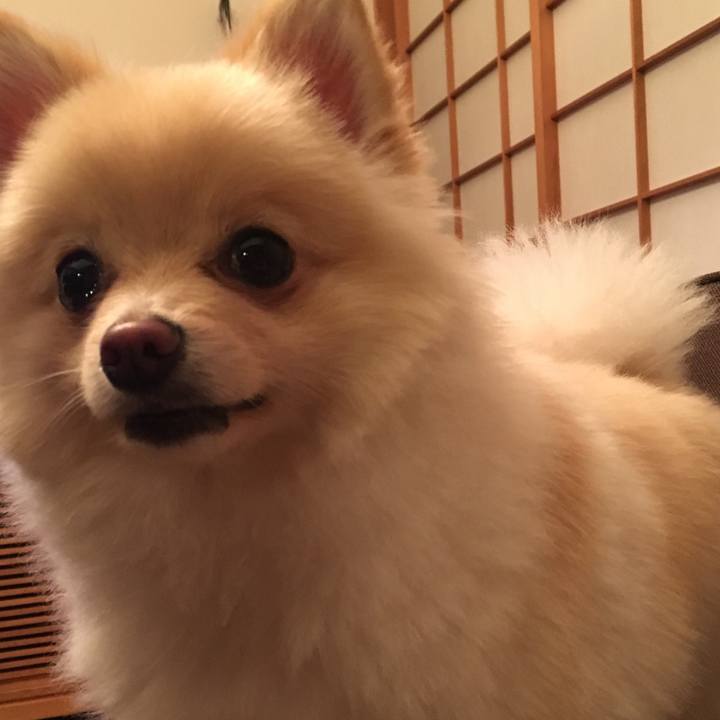 044457a8 b694 444e a3ba 59f6ade78032