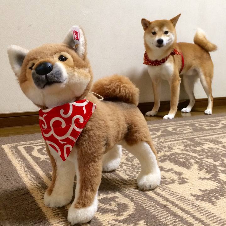 0444fbde 1a43 4184 8306 5fe46d81f790