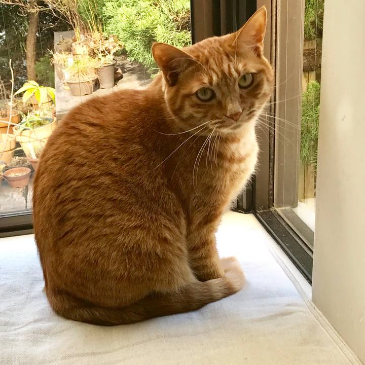 0445198d c30e 440b bf51 7454583ac51e