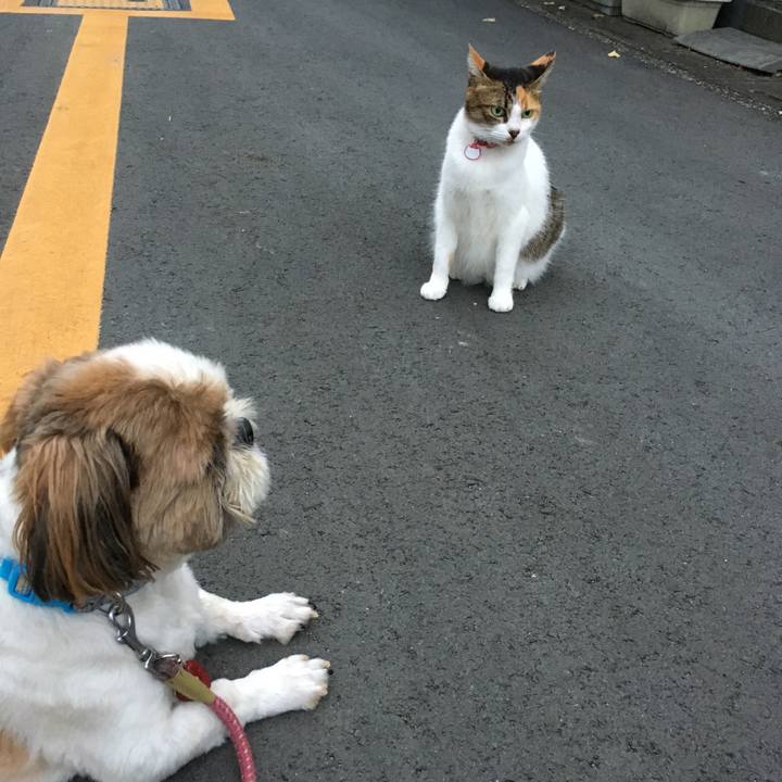 04456c88 bde6 4bdb ad43 a0c727732d9e