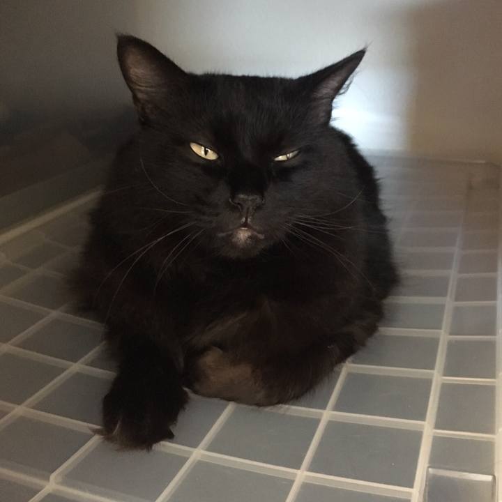 044595c9 d068 4c26 8f55 f96d0d4f4fc0