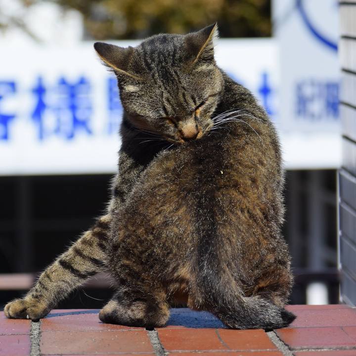 0445bb88 dc80 4fe6 a11d 604bbebb71df