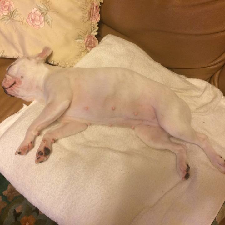 0445bf3f e6a1 42dc 96fb fef2ab18a135