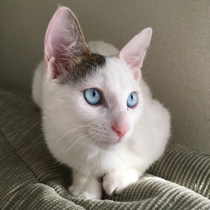 04465496 5671 49fd 9753 2e5885b84af4