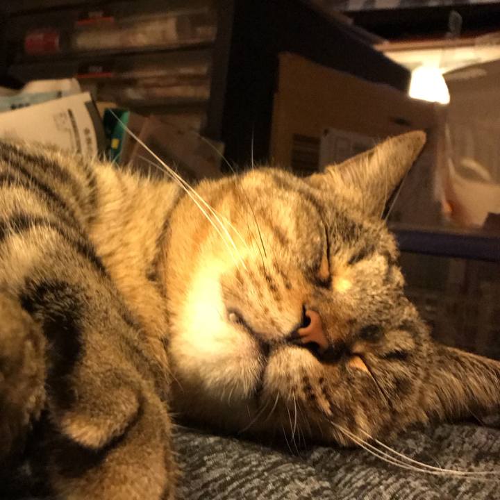 0446c0d6 2016 4d27 8c7c 0c4e14ea5bf8