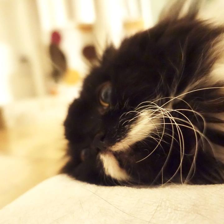 04481ae8 d6e4 41cc b38c 100759b0427b