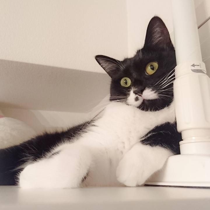 044828d9 1252 44a1 a236 70e878434bc5