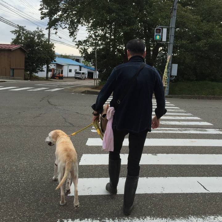 04484073 2e38 4718 8a31 8c2833de9a41