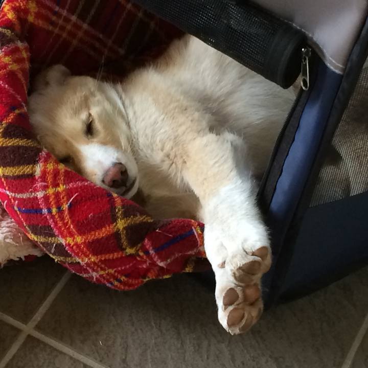 044843d9 1f19 4239 92c2 5060d0ce40eb