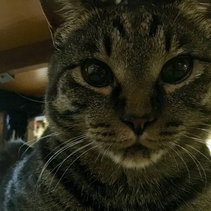 0448a11a 7ed1 479a b2f1 553a6d590a8e