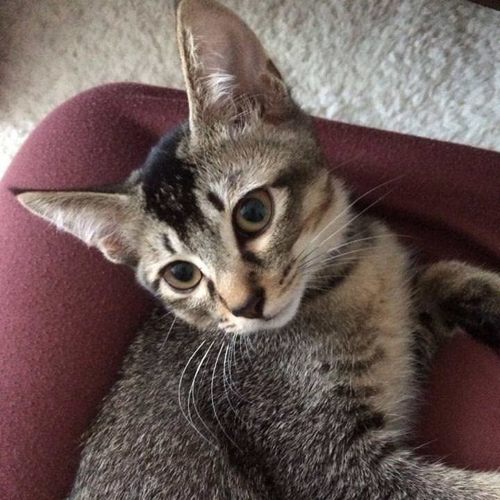 0448b572 3de4 4dd4 bfee c99eba73e38e