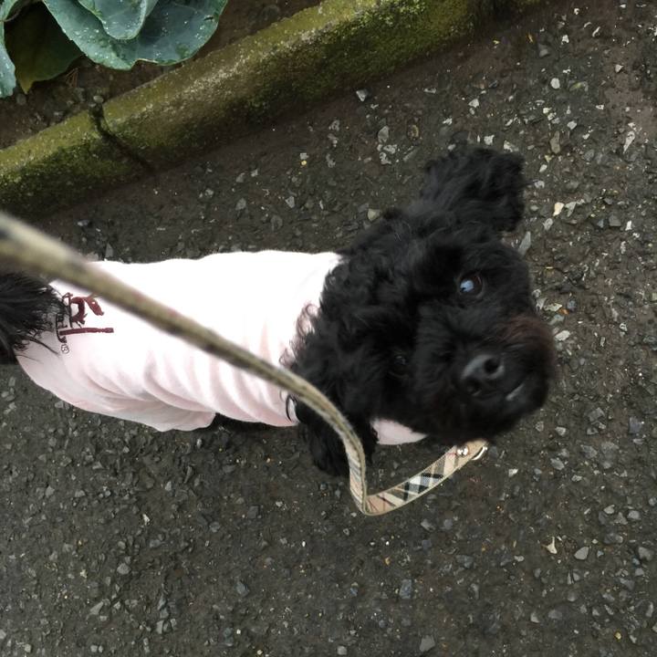 044939ed 5e88 4e04 a774 12d20d0fe8a5