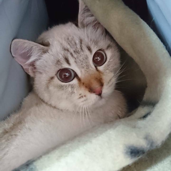 0449e0a6 2783 4e65 9496 ab26d74d1922