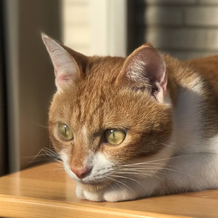 044a64bc 77ec 46eb 8fdb d215d9bb23e7