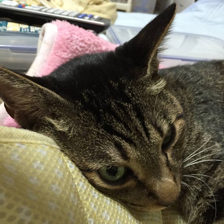 044b00eb de96 4f7a a42c 63516ce23e56