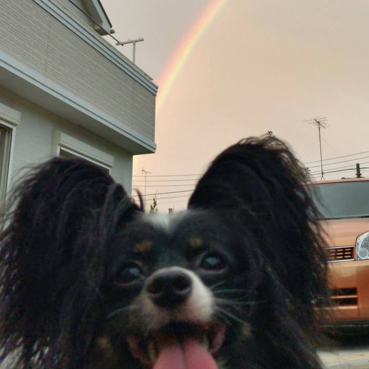 044b74df e206 4de4 9b09 5684766cb158