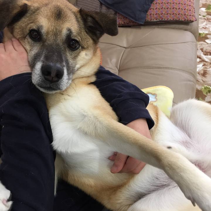 044bffe6 394d 4ae9 be55 b2453fdfd379