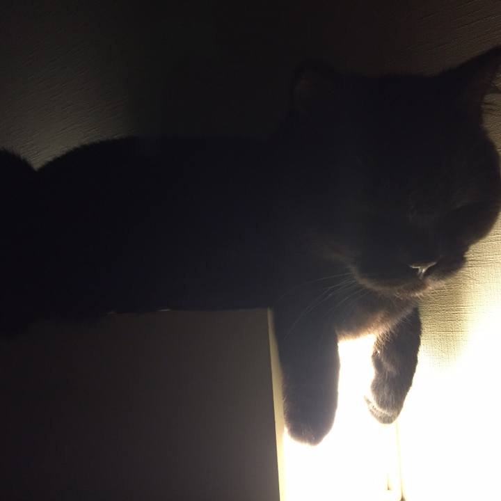 044c5324 7850 442c 8fd4 f234480ce735