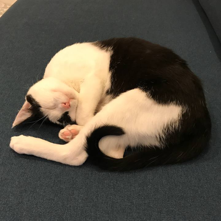 044c769a 27df 46fe 9b85 162bd96e2d08