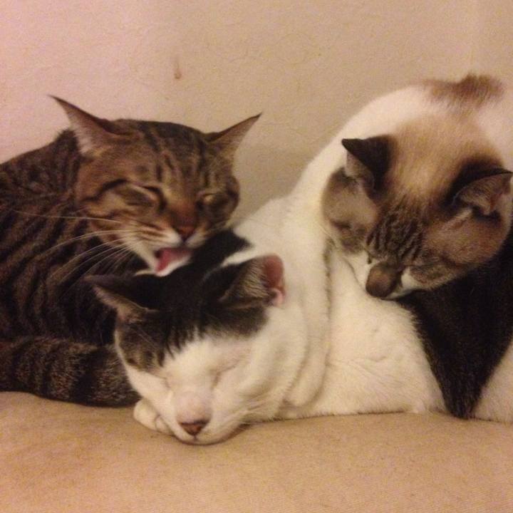 044c97e2 1698 40b7 bb9c 69166e6ec4f4