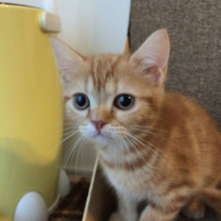 044d7b9a 6d3f 4aee 80e3 575f417b3e60