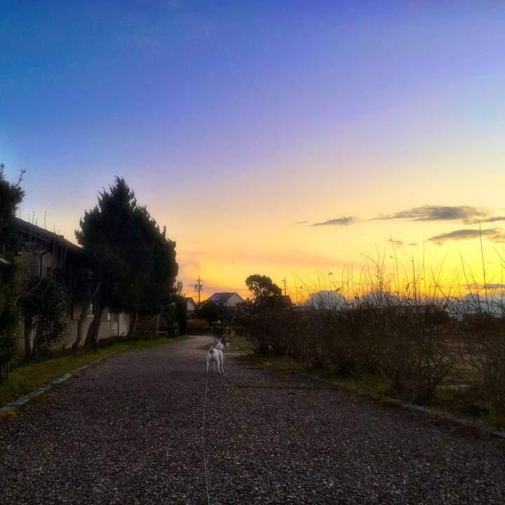 044d8192 b26f 435e 8a04 1a32f04b6b68