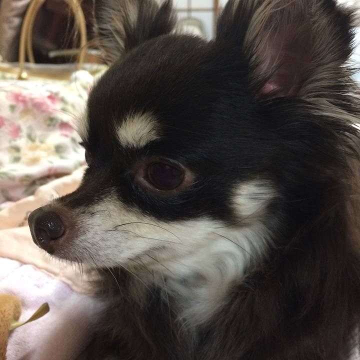 044dbad1 c213 4b50 b416 9ec722577d57