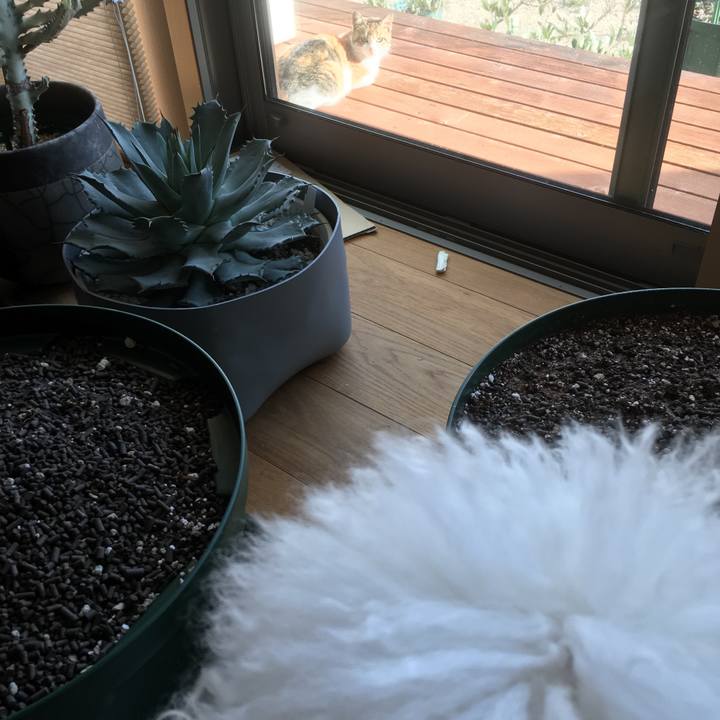 044e77ce 927d 44b5 9dff 7ffbf71e8a88