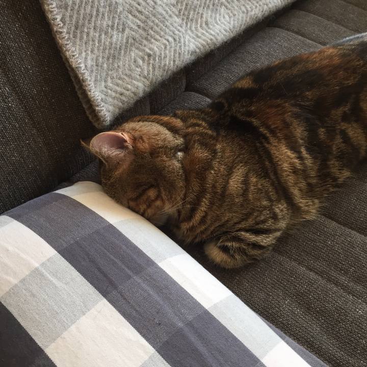 044f7f64 5e6b 4293 b276 55543a5c5e48