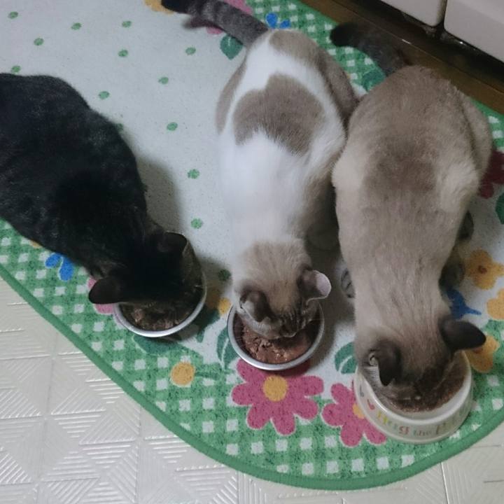 044fade5 eb28 4034 88f6 ef7066077140