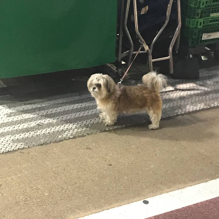 04500e98 3fc0 47a8 983e 18c73656e9ce