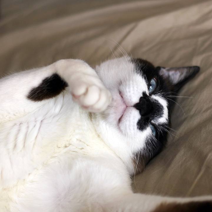 04501bca 8800 4dcb 84e0 8206c07204ab