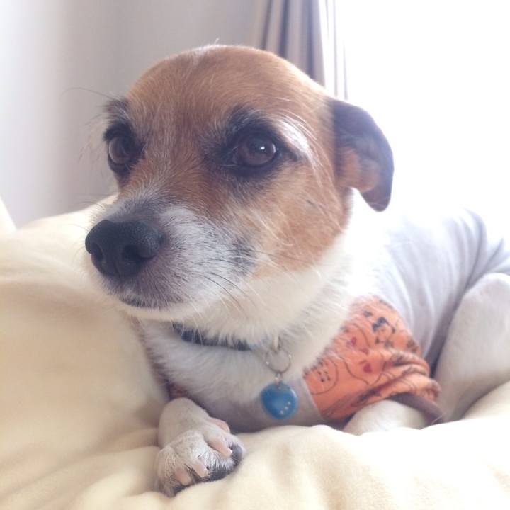 0450c714 69a1 400f 84c0 d6a8fa508a88