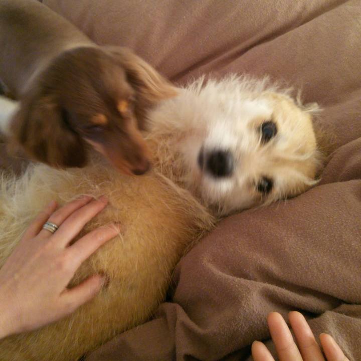 0450f116 343e 4d3c b78e ffddf891c0c2