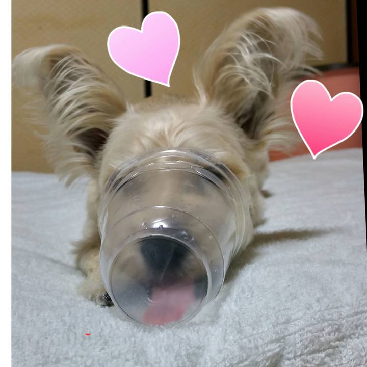 0451234c 0fa9 42be 8e30 b9b37825d050