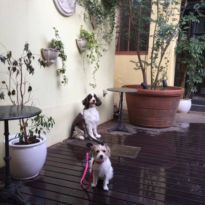 045147c5 5883 49b5 9b75 bceb4749178d