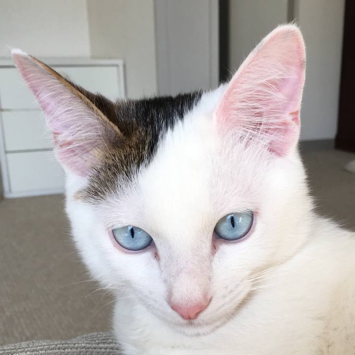 04514db1 7a4c 4a80 a162 6fd0d077e31c