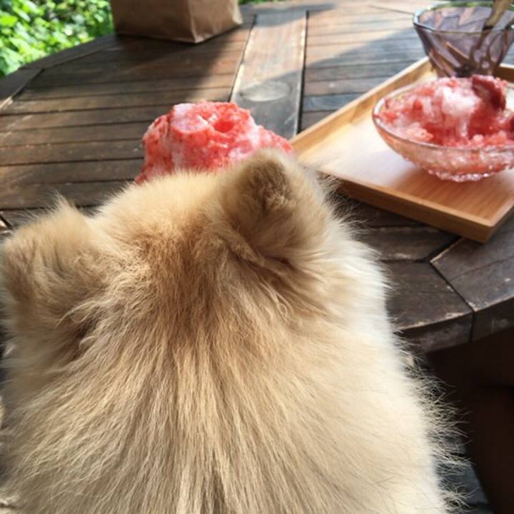 04520cdd 805f 4660 801b 3d64abbf3e74