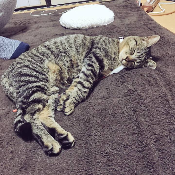 04526011 5f12 4e9c bec8 40df4a8b2bf3