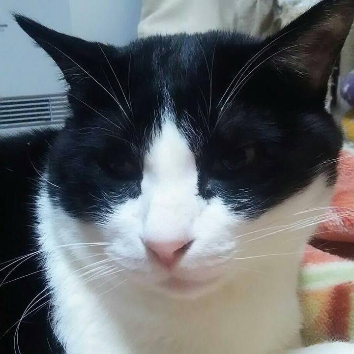 04529ba8 db65 405c 8d0a 1f18f8cab307