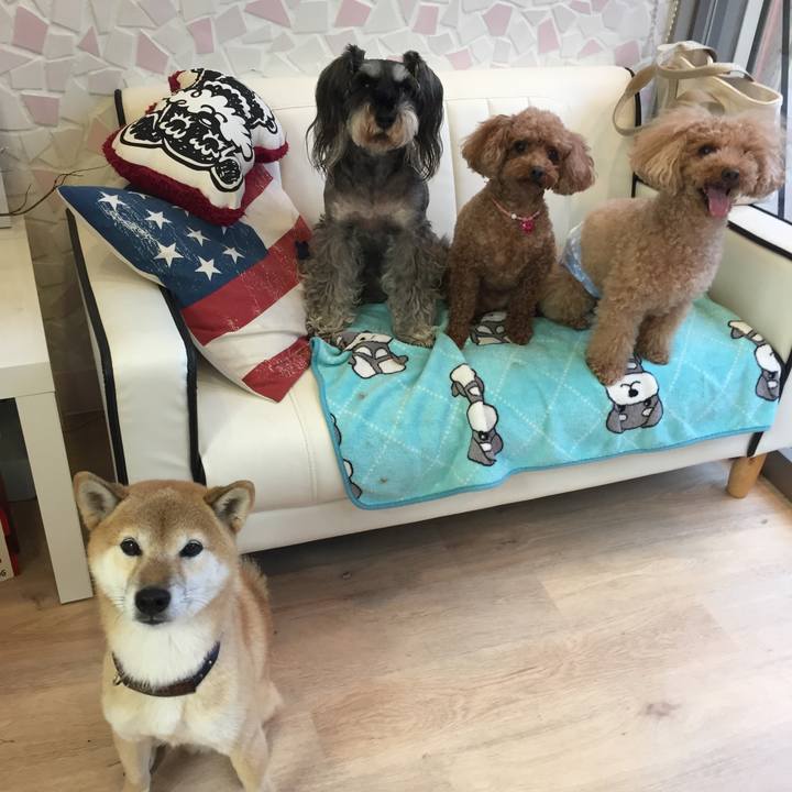 04540880 18fb 4a7d b261 5937c709d397