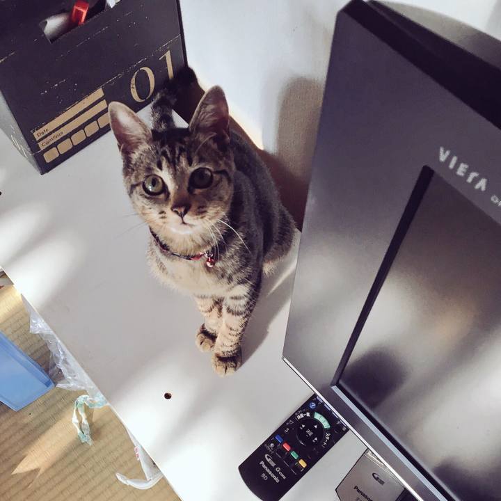 045451c3 6dbb 4692 9348 2130fc4f4989