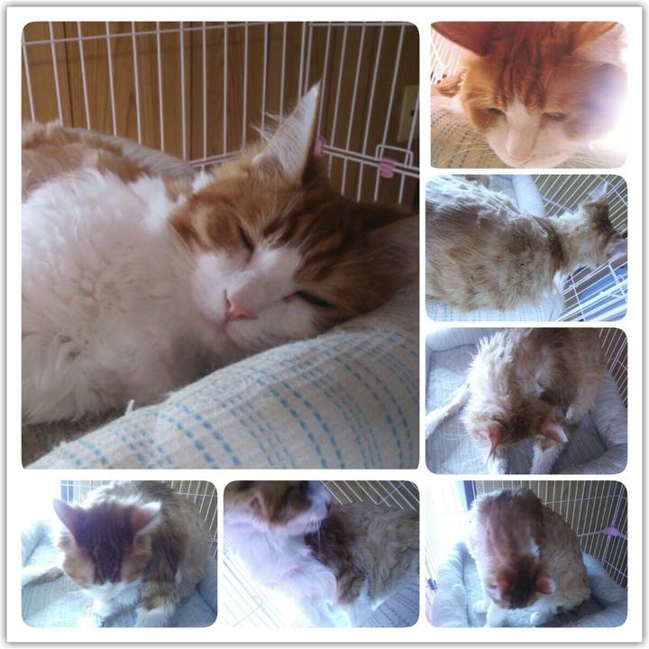 04545da8 fb51 4e97 bdc2 4a50d92e1ece