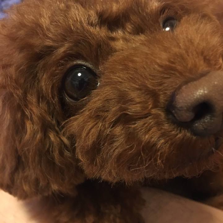 04549b0b 2f5b 458a bc71 6b5d37fcaf3e