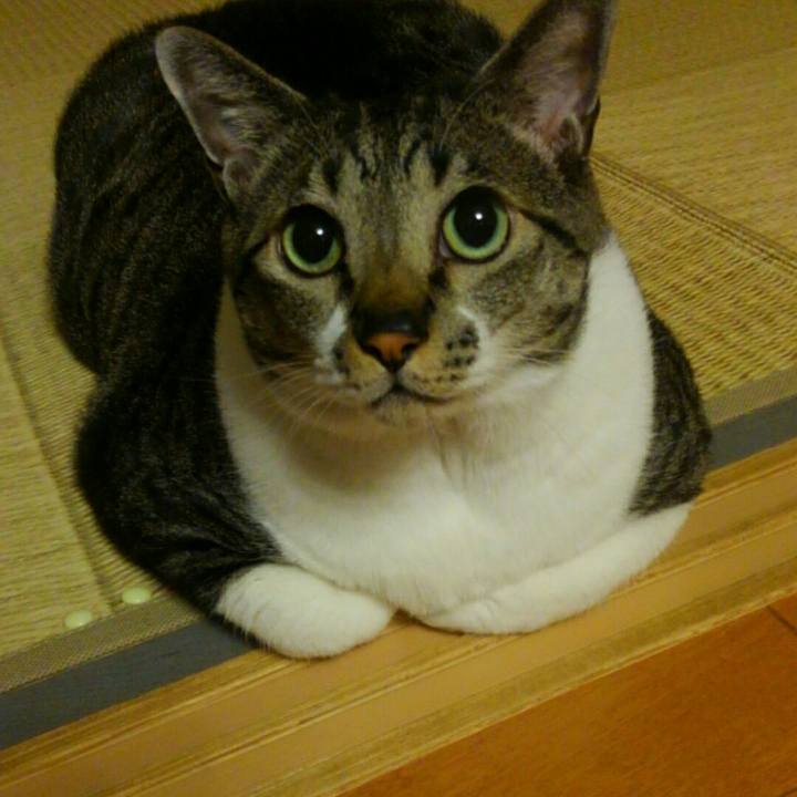 0454f689 bf6f 4b1c 9904 8aa26339c9db