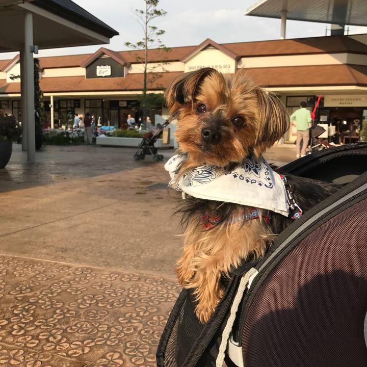 04556d0d 61bb 427e 9def d3db9dada314